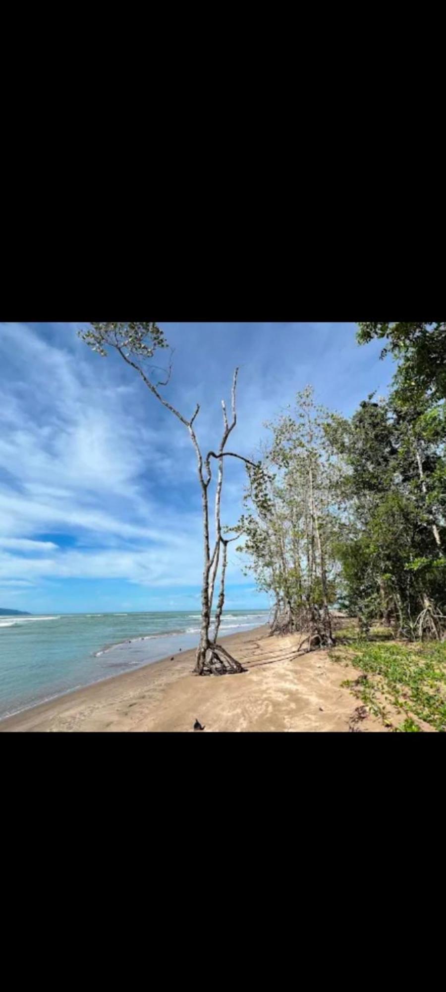 The Mangrove Villa Sematan Exteriör bild